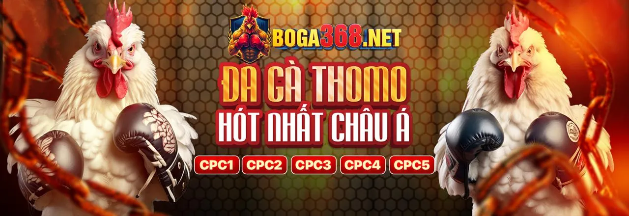 Hình ảnh đăng ký nohu90 Hồ Chí Minh an toàn