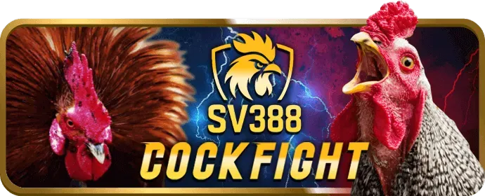 Chiến lược và mẹo chơi game slot tại nohu90 Hồ Chí Minh